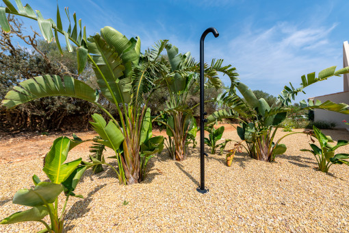 Outdoor shower