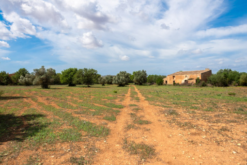 Idyllic finca building plot with construction licence in Felanitx