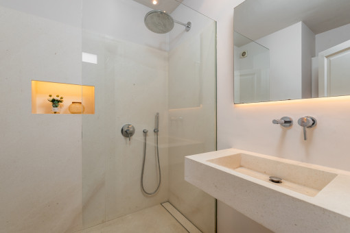 Bathroom with walk-in shower