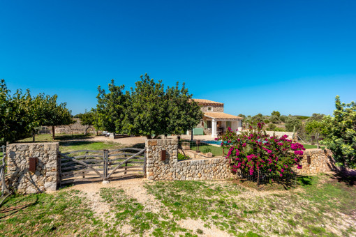 Entrance way to the finca