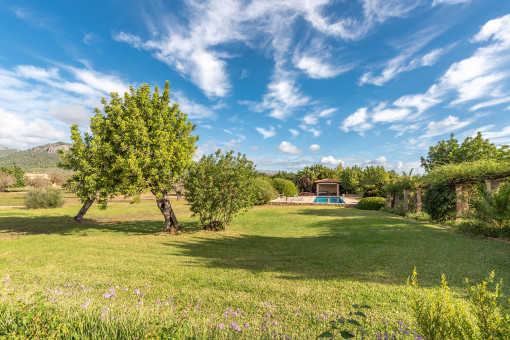 Well-maintained garden