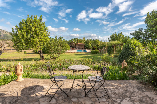 Sunny terrace 