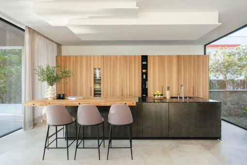 Modern live-in kitchen