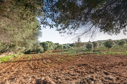  A construction project for a country house with pool 