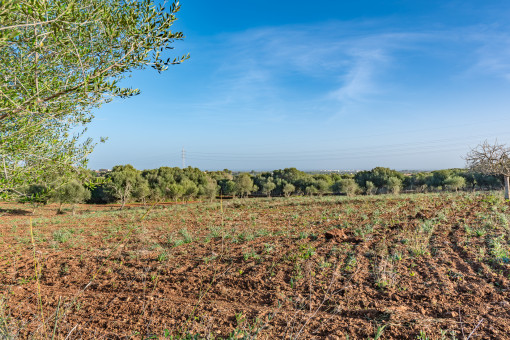 Flat building plot