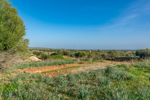 Plot with sea views