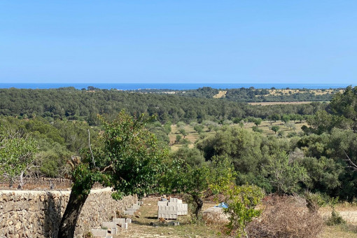 plot in Cala Murada