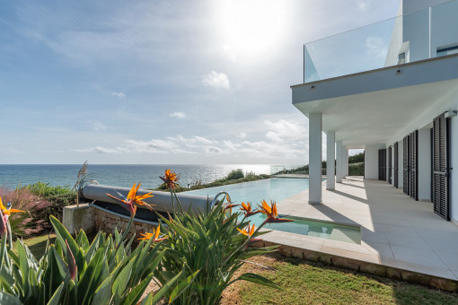 Pool terrace and garden