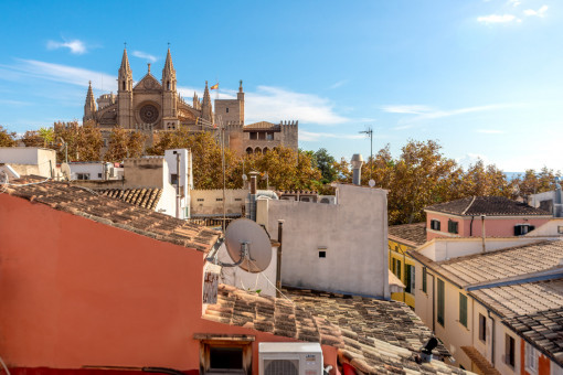 View from the terrace