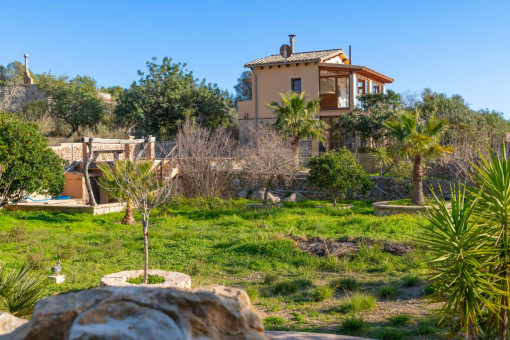 View to the finca