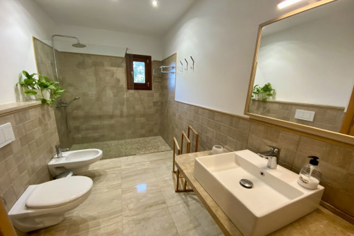 Bathroom with walk-in shower