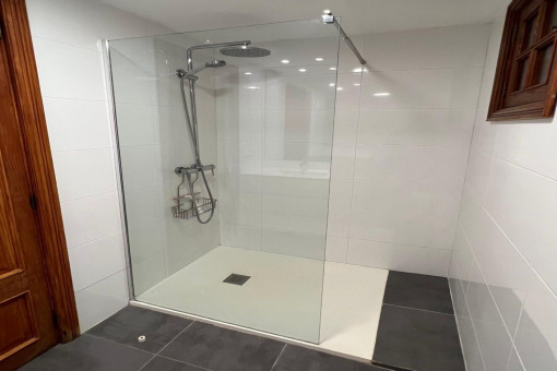 Bathroom with walk-in shower