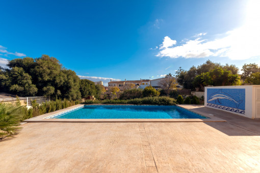 Pool and terrace