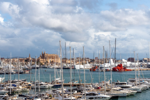 Views to the harbour and the cathedral