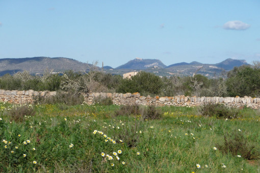 plot in Cala Llombards